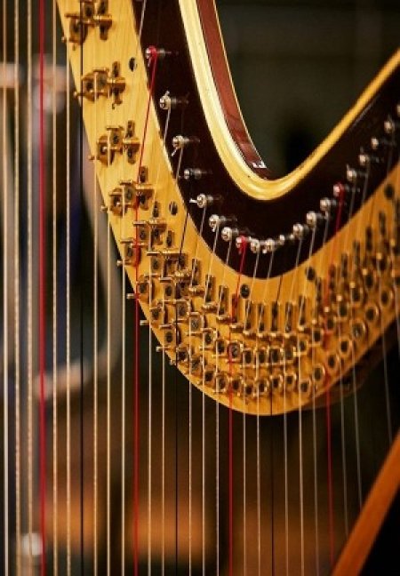 Zdjęcie reklamujące koncert: Niedzielny Poranek Muzyczny. Tajemnicza harfa