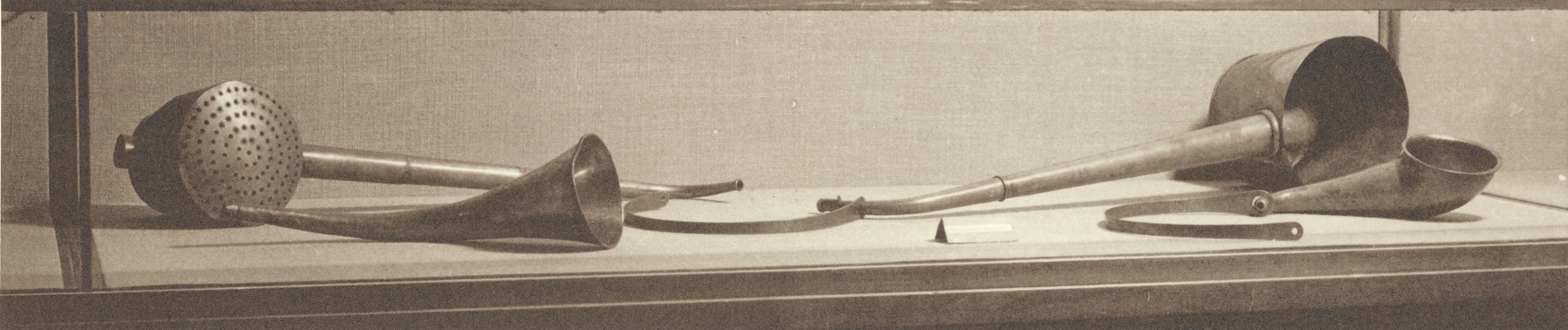 Zdjęcie reklamujące koncert: Ludwig van Beethoven – IX Symfonia – Archikatedra